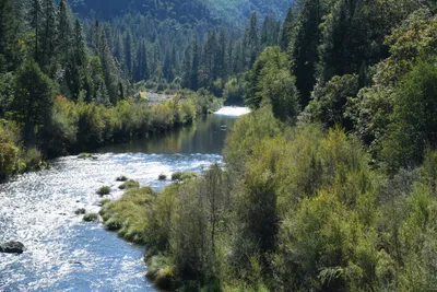 DSC_6466 (Large).JPG